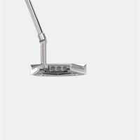 Putter Back View